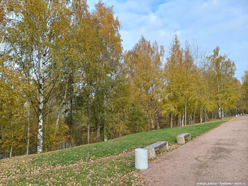 Женя и прогулка в октябре