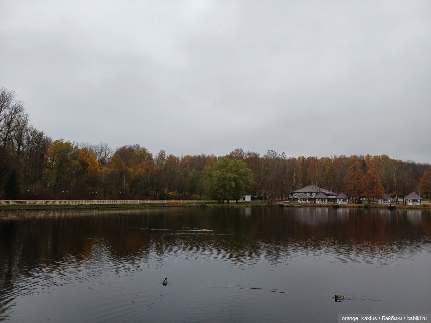 Последняя осенняя фотопрогулка