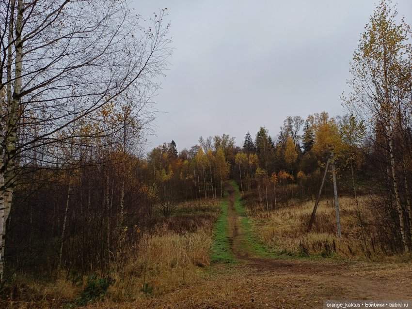Геннадий и Колтушские высоты