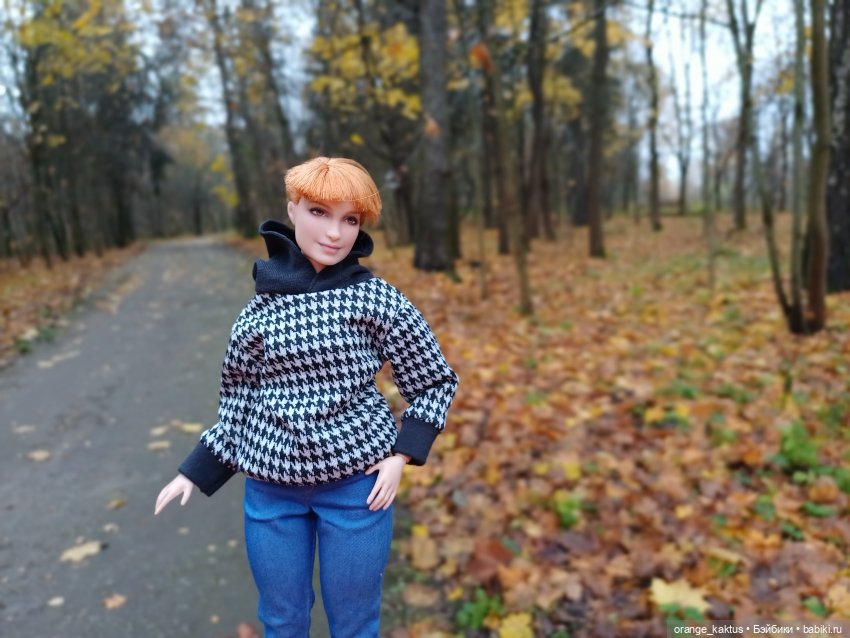 Василиса и поздняя осень — Куклы Barbie (Барби): Looks (фото 4)