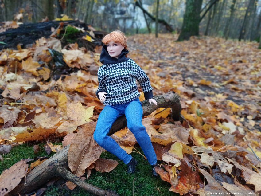 Василиса и поздняя осень — Куклы Barbie (Барби): Looks (фото 7)