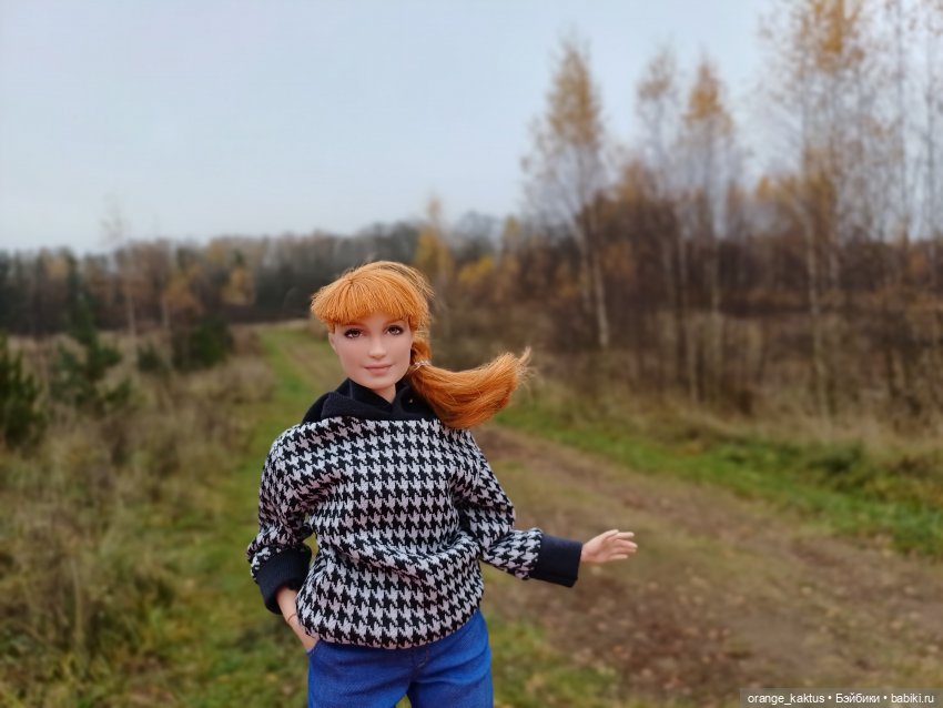Василиса и поздняя осень — Куклы Barbie (Барби): Looks