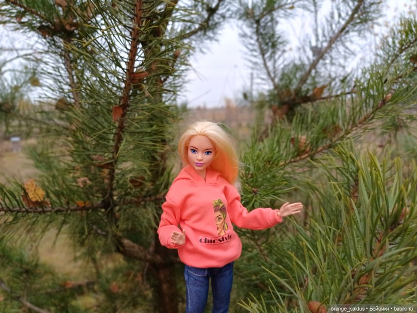 Последняя осенняя фотопрогулка