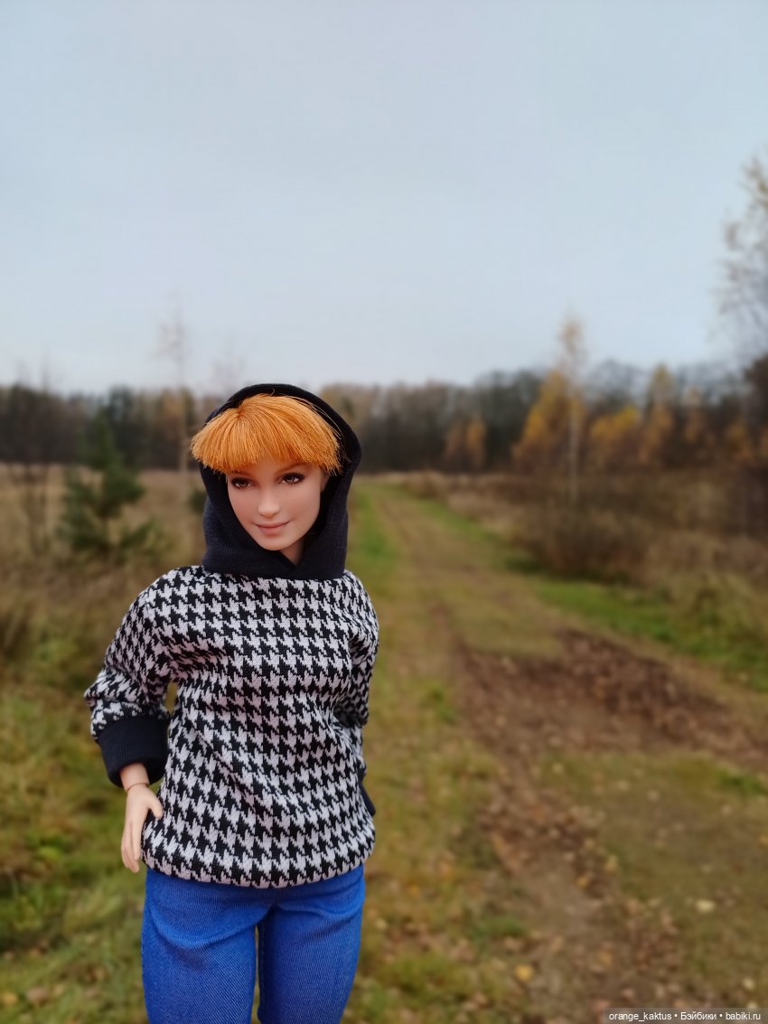 Василиса и поздняя осень — Куклы Barbie (Барби): Looks