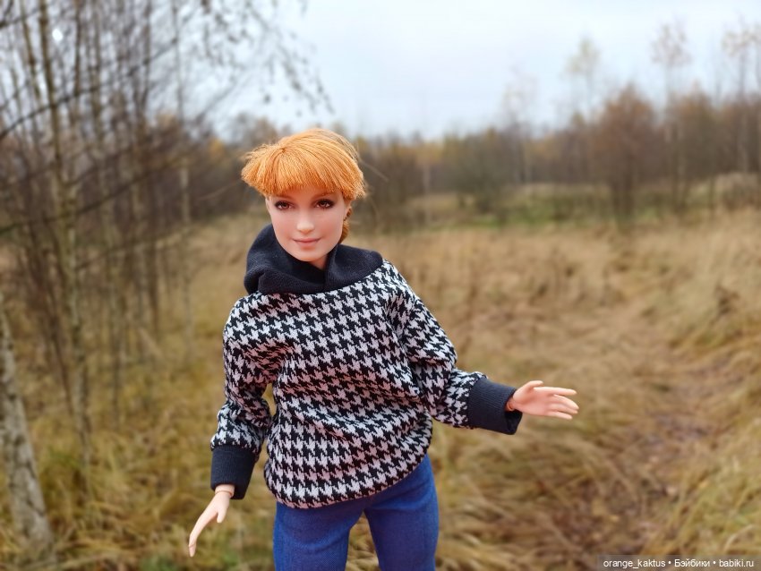 Василиса и поздняя осень — Куклы Barbie (Барби): Looks (фото 10)