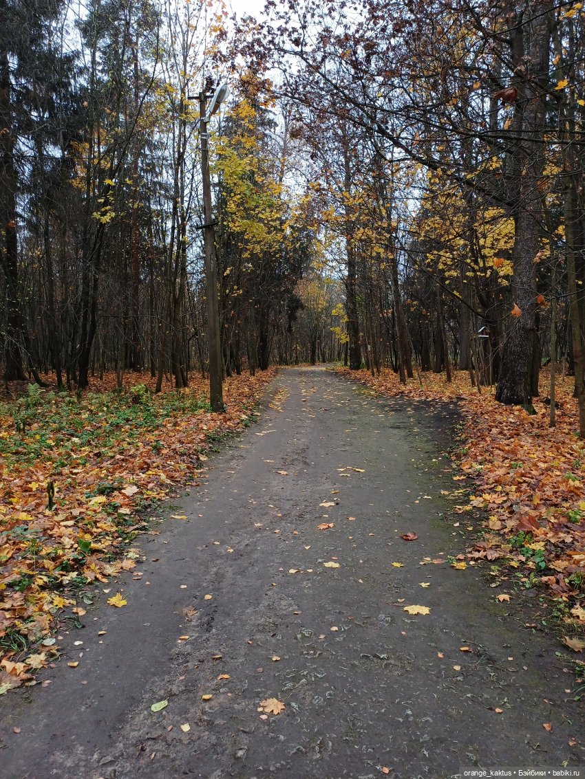 Геннадий и Колтушские высоты (фото 5)