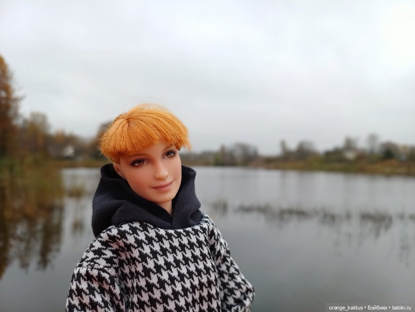Василиса и поздняя осень — Куклы Barbie (Барби): Looks (фото 2)