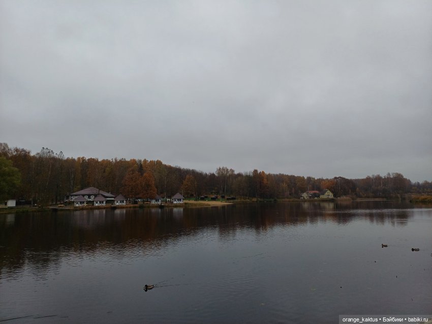 Геннадий и Колтушские высоты