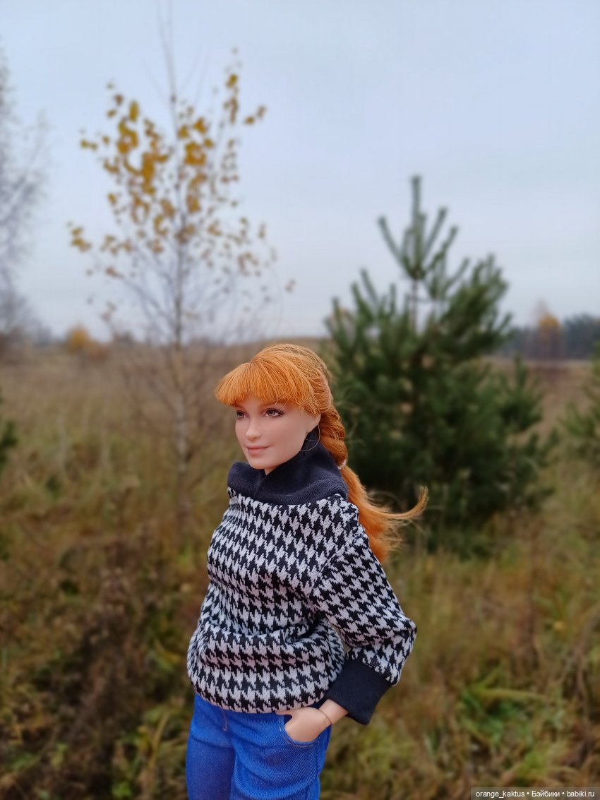 Василиса и поздняя осень — Куклы Barbie (Барби): Looks