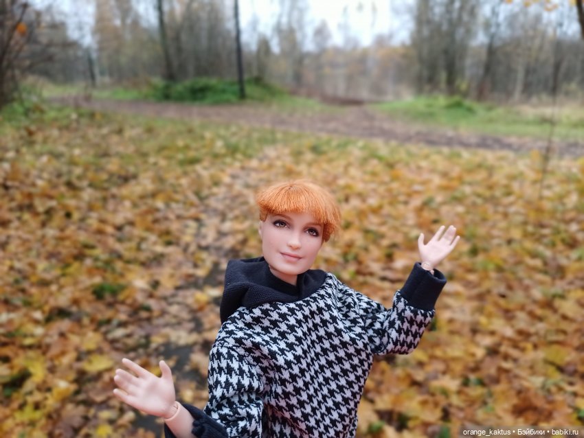 Василиса и поздняя осень — Куклы Barbie (Барби): Looks (фото 8)