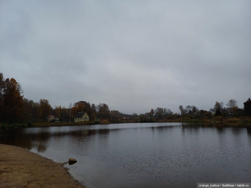 Геннадий и Колтушские высоты (фото 2)