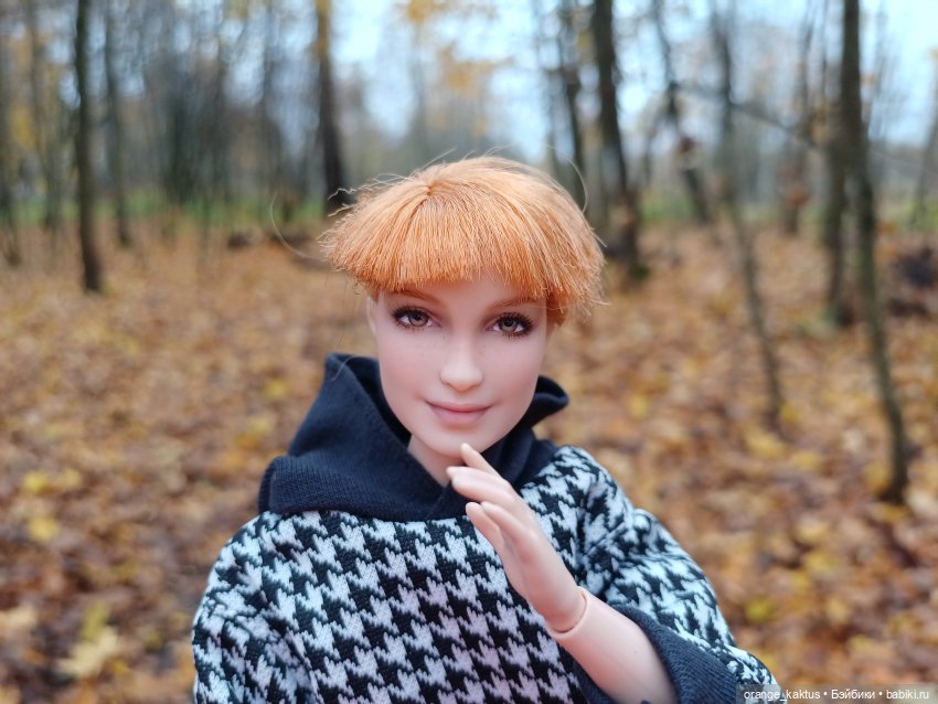 Василиса и поздняя осень — Куклы Barbie (Барби): Looks (фото 6)