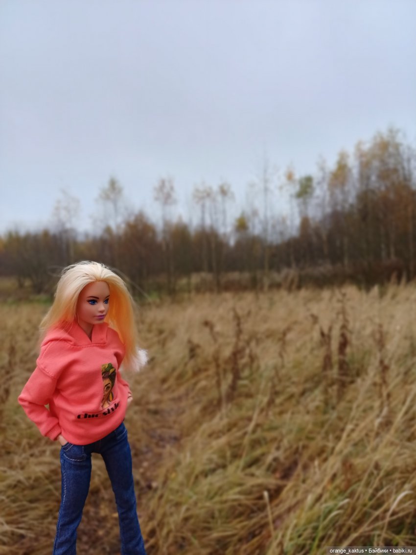 Последняя осенняя фотопрогулка