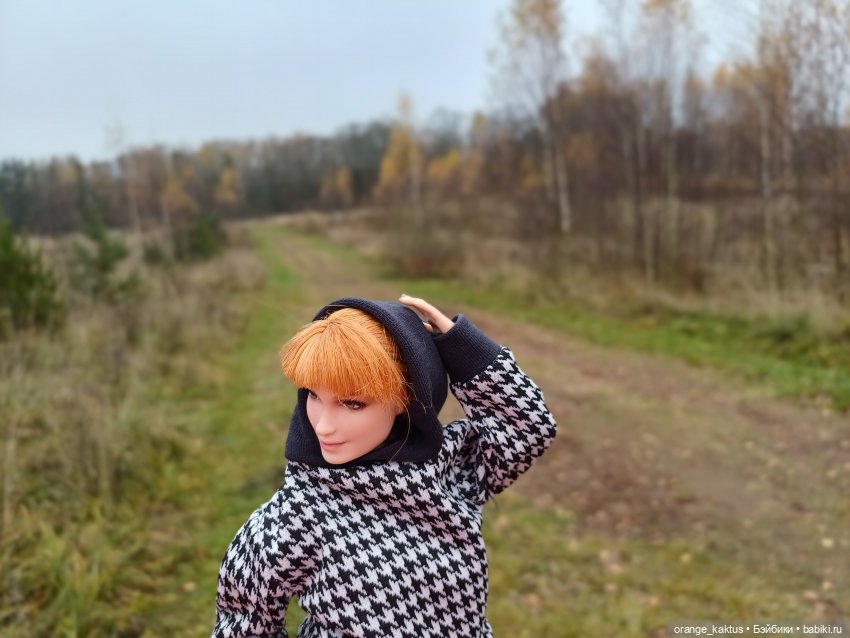 Василиса и поздняя осень — Куклы Barbie (Барби): Looks