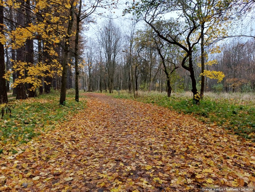 Последняя осенняя фотопрогулка (фото 6)