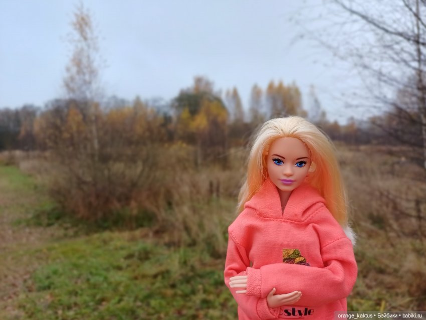 Последняя осенняя фотопрогулка