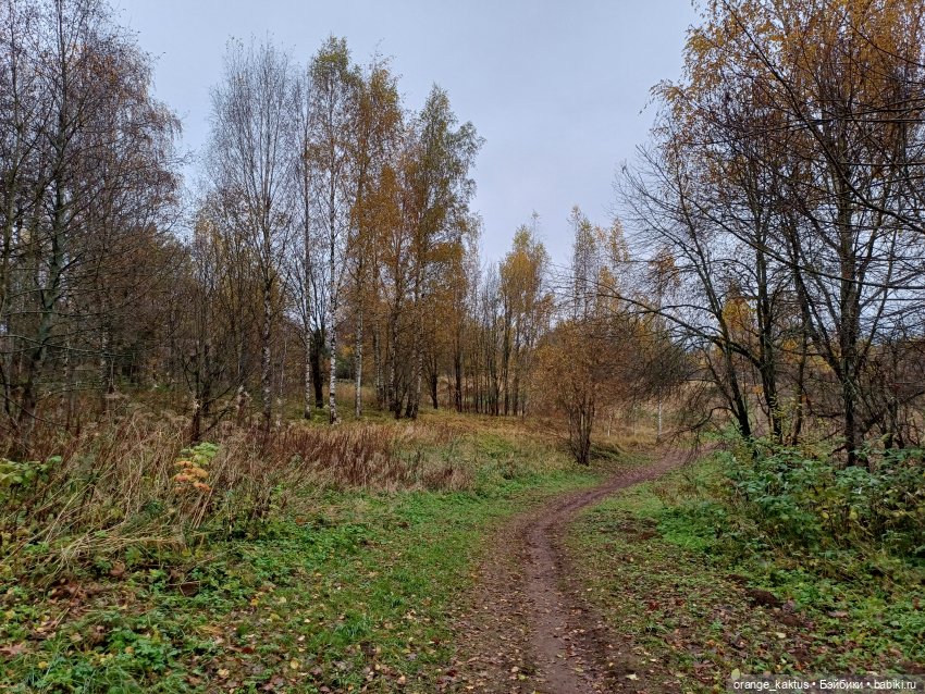 Василиса и поздняя осень — Куклы Barbie (Барби): Looks (фото 9)