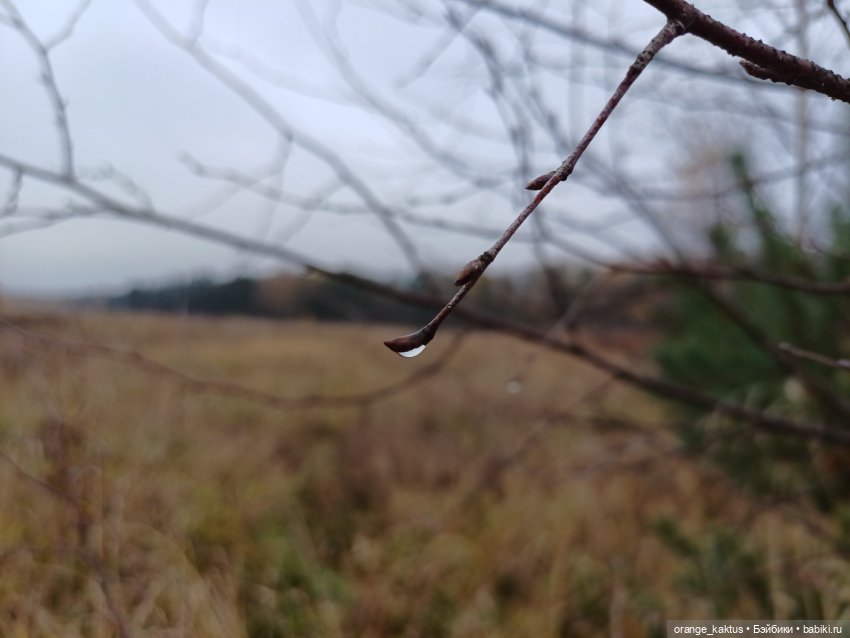 Геннадий и Колтушские высоты