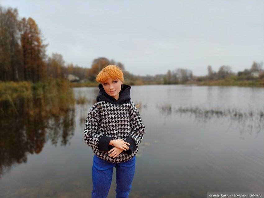 Василиса и поздняя осень — Куклы Barbie (Барби): Looks