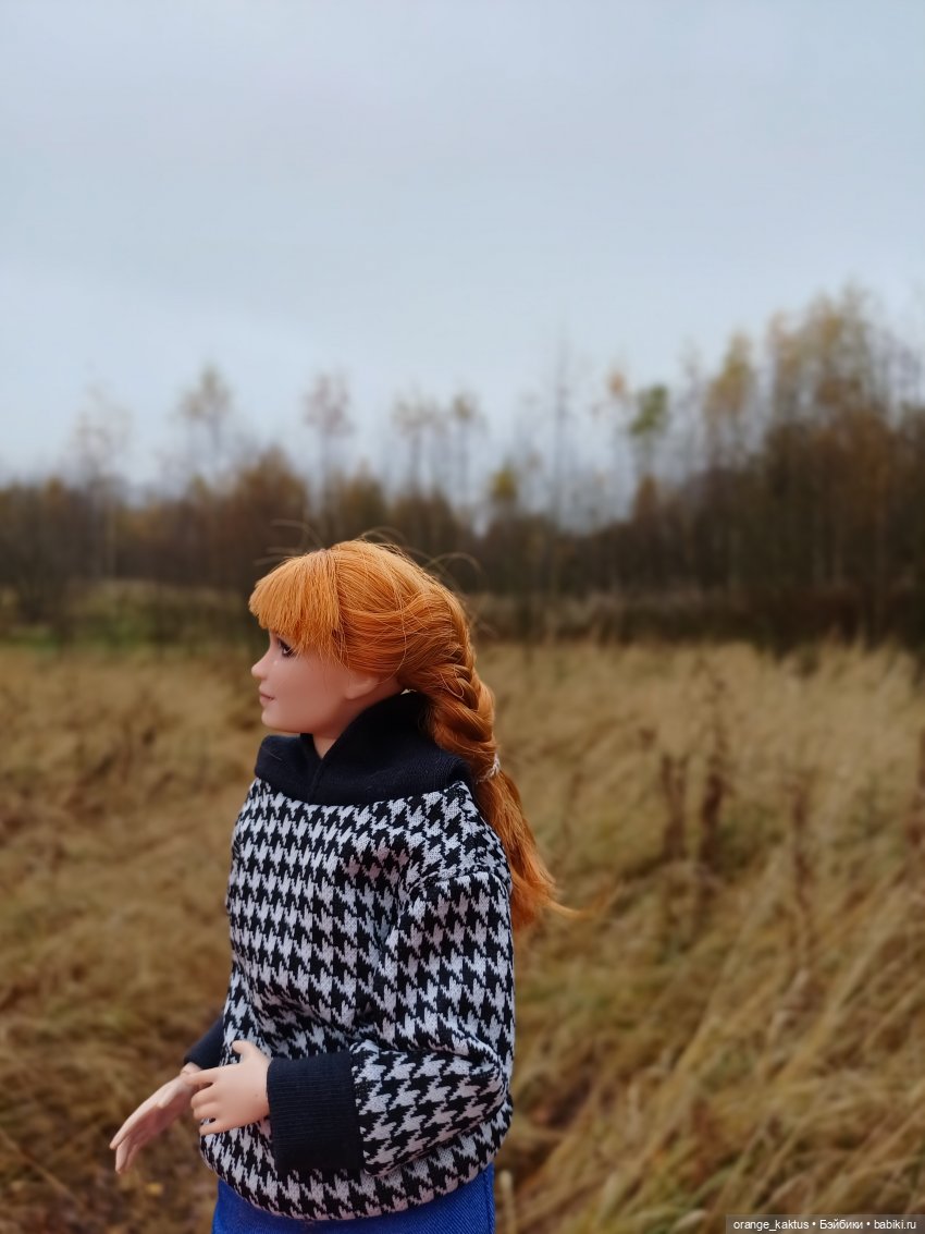 Василиса и поздняя осень — Куклы Barbie (Барби): Looks