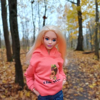 Последняя осенняя фотопрогулка