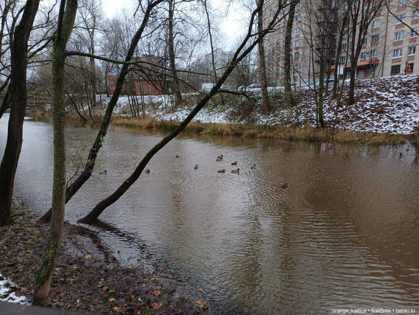 Первая снежная прогулка — Куклы Barbie (Барби): Looks (фото 7)