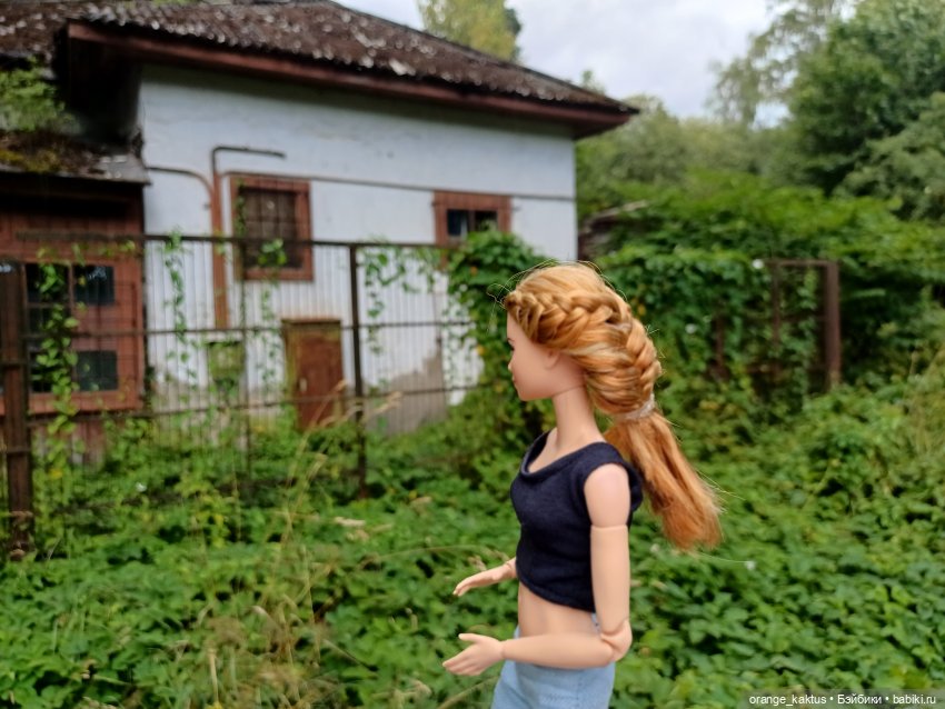 Мавр сделал свое дело. Глава 12 Странный дом