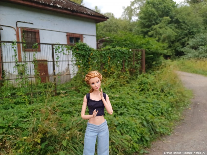 Мавр сделал свое дело. Глава 12 Странный дом