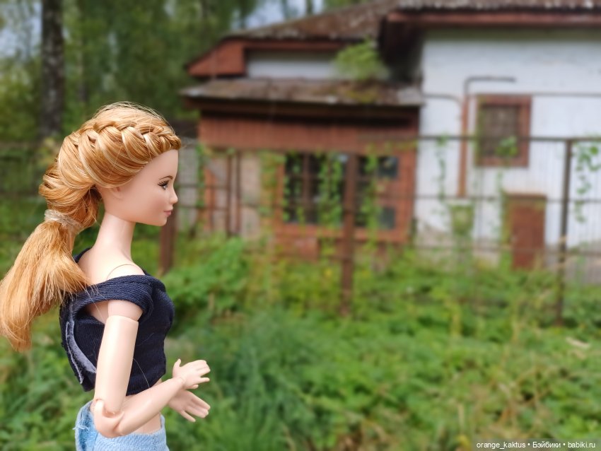 Мавр сделал свое дело. Глава 12 Странный дом