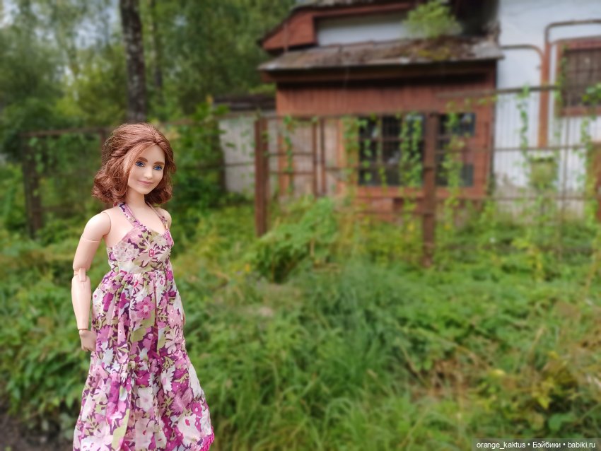 Мавр сделал свое дело. Глава 12 Странный дом