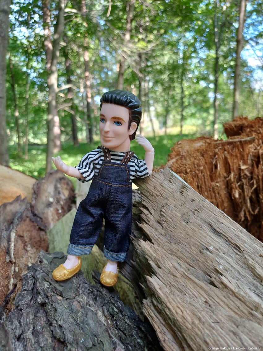 Мавр сделал свое дело. Глава 13 Вечер в семейном кругу