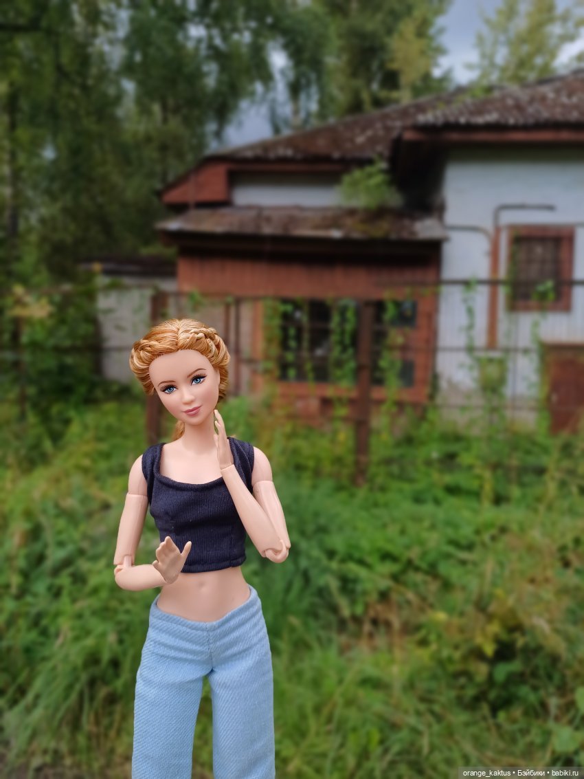 Мавр сделал свое дело. Глава 12 Странный дом