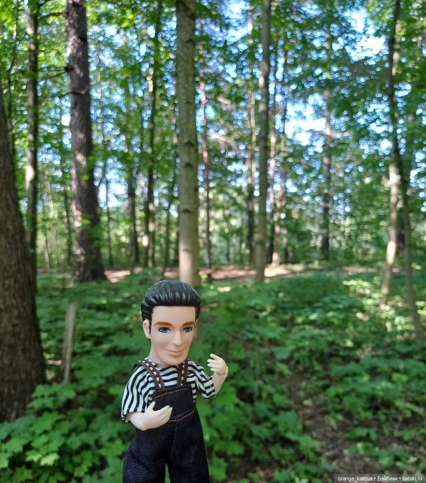 Мавр сделал свое дело. Глава 13 Вечер в семейном кругу (фото 8)