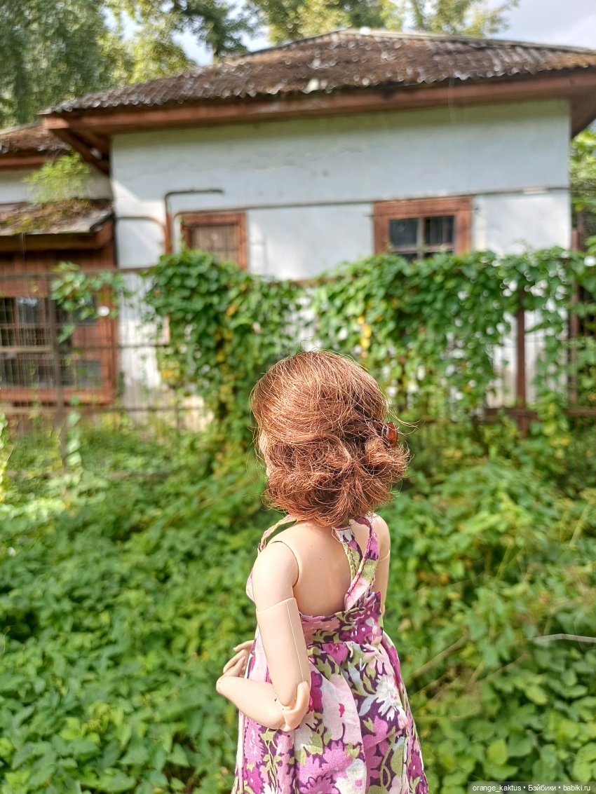Мавр сделал свое дело. Глава 12 Странный дом