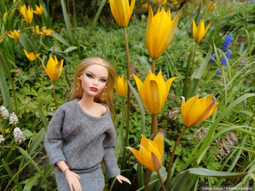 Итоги 2025 года (часть 2) (фото 6)