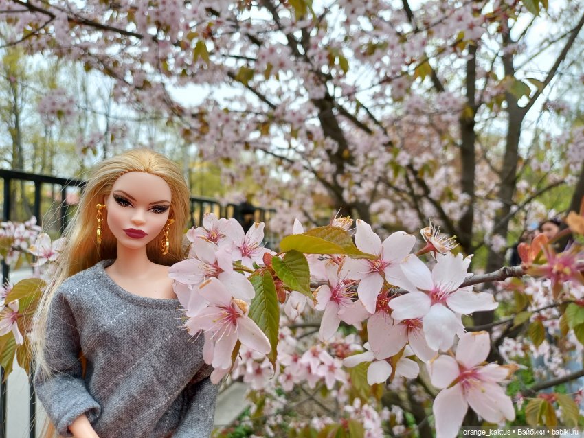 Итоги 2025 года (часть 2) (фото 5)