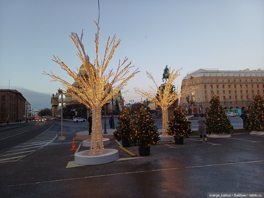 Маргарита Пална и предновогоднее настроение (фото 9)