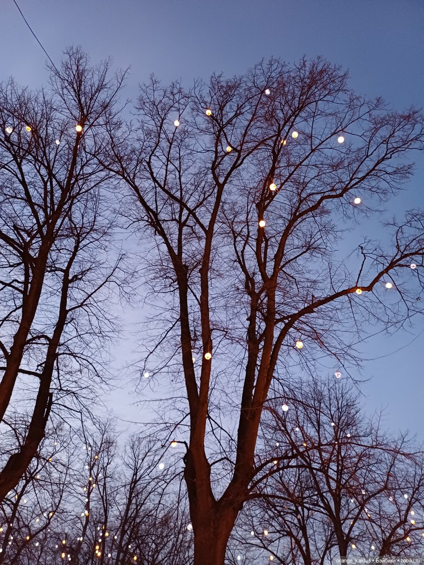 По вечернему городу — Куклы Barbie (Барби): Looks