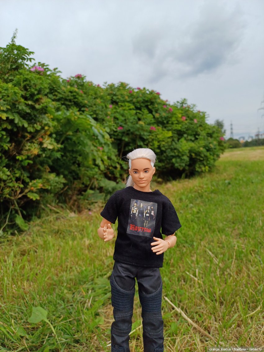 Мавр сделал свое дело. Глава 15 Неожиданное знакомство