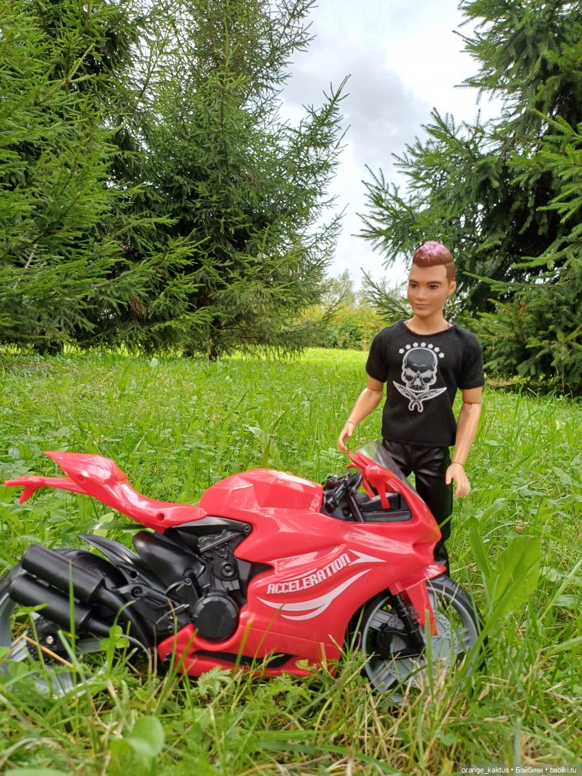 Мавр сделал свое дело. Глава 16 Васька пришел извиняться