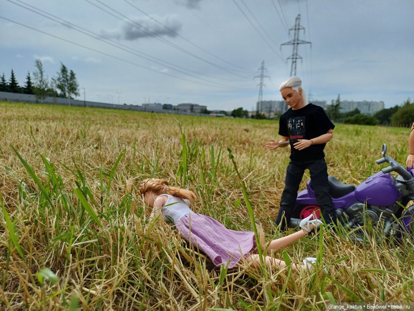 Мавр сделал свое дело. Глава 15 Неожиданное знакомство