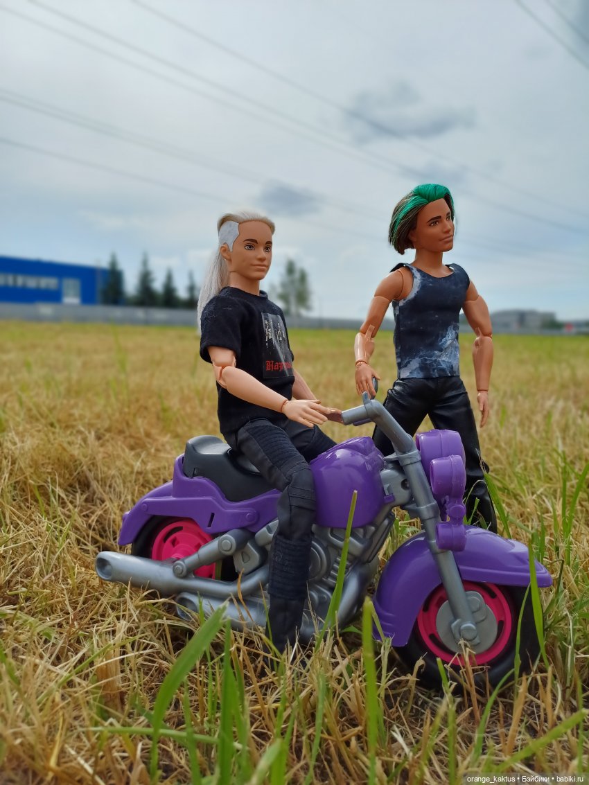 Мавр сделал свое дело. Глава 15 Неожиданное знакомство (фото 7)