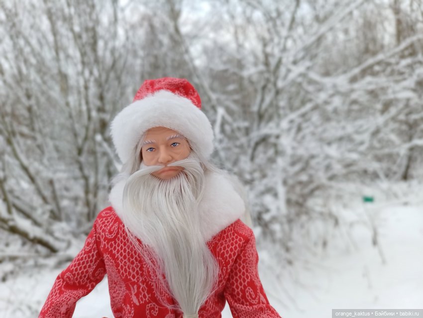 Дедушка Мороз — Куклы Harry Potter (Гарри Поттер) Mattel: Wizarding World (фото 5)