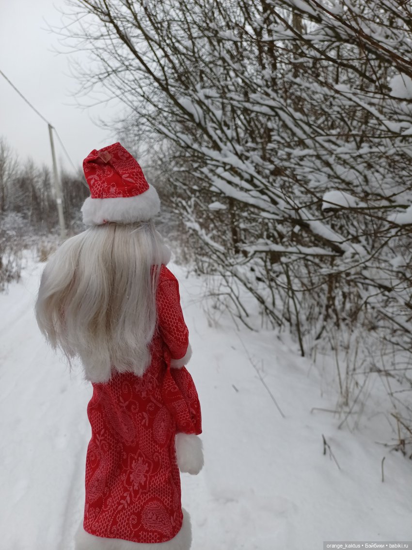 Дедушка Мороз — Куклы Harry Potter (Гарри Поттер) Mattel: Wizarding World