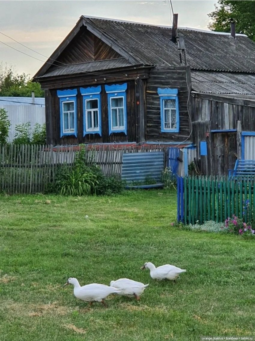 Мавр сделал свое дело. Глава 12 Странный дом