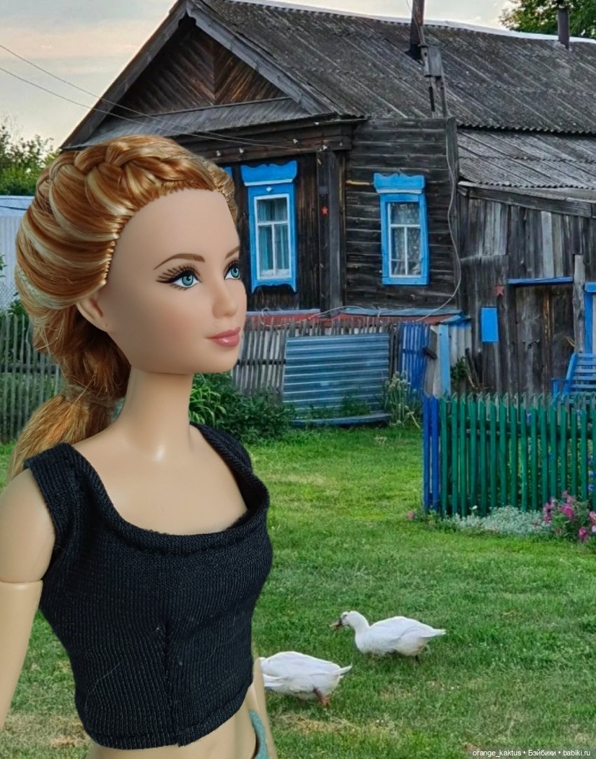 Мавр сделал свое дело. Глава 12 Странный дом