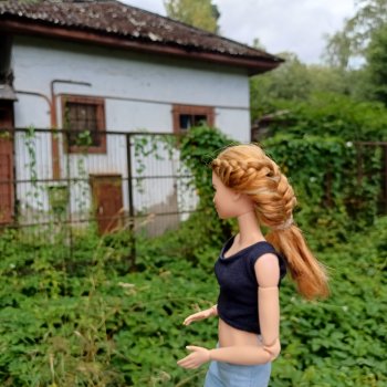 Мавр сделал свое дело. Глава 12 Странный дом