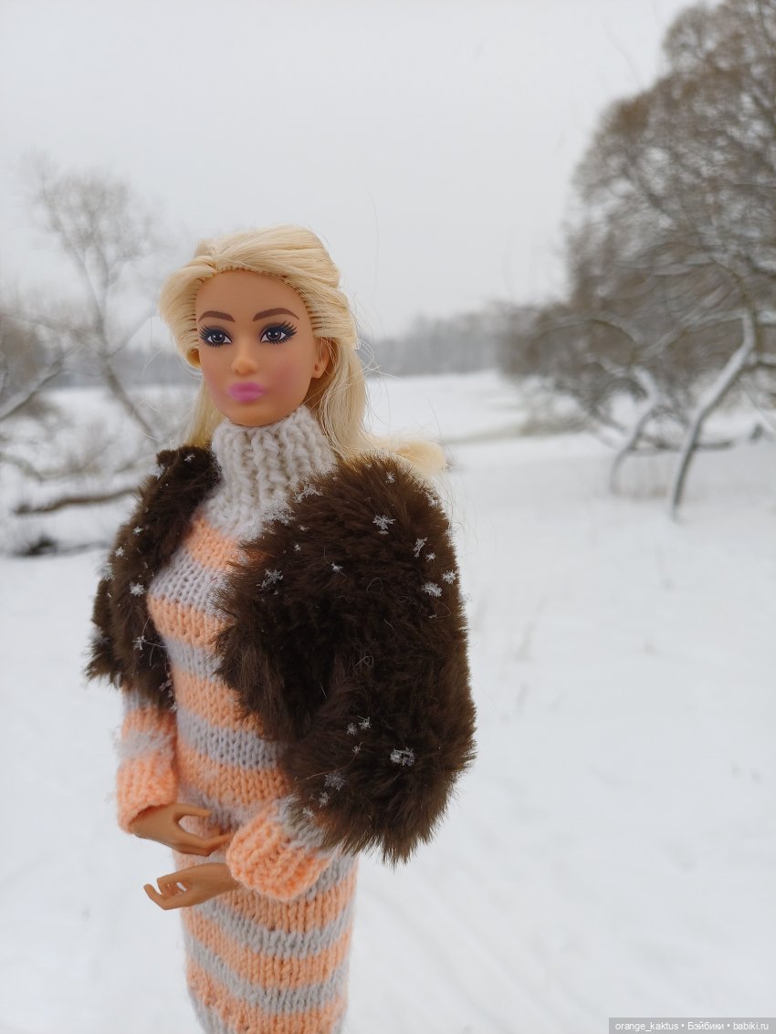 София и снегопад — Аналоги Барби и куклы 1/6: клоны 90 (фото 10)