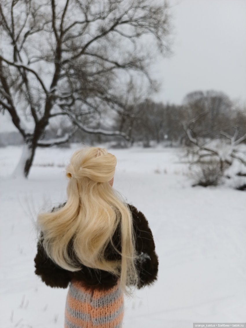 София и снегопад — Аналоги Барби и куклы 1/6: клоны 90 (фото 9)