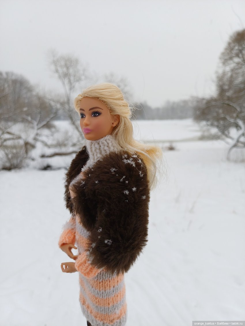 София и снегопад — Аналоги Барби и куклы 1/6: клоны 90